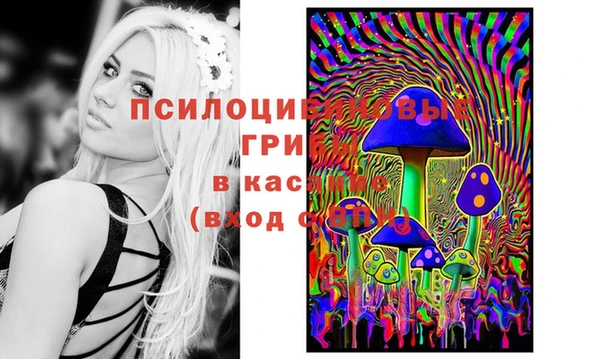 спайс Волоколамск